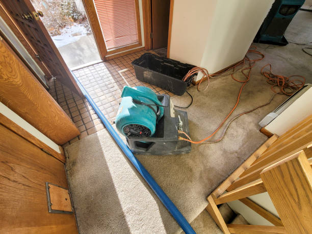 Best Residential water damage restoration  in Brenham, TX