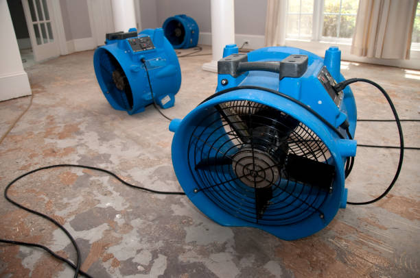 Best Water damage restoration near me  in Brenham, TX