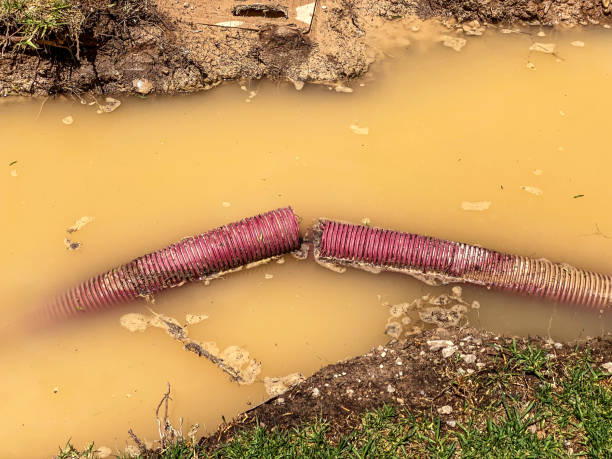 Best Basement water damage restoration  in Brenham, TX